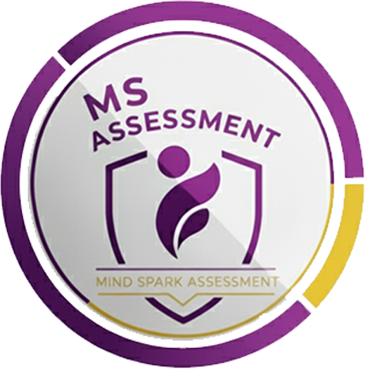 Mindspark Assessment